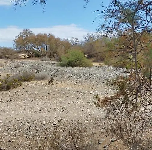 Doranda Σπίτι διακοπών Μασπαλόμας