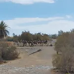 Doranda * Maspalomas (Gran Canaria)