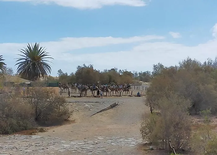 Doranda * Maspalomas (Gran Canaria)